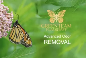 A Butterfly On A Green Background With The Green Tram Flagstaff Logo And The Words 'Advanced Odor Removal'