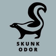 An Icon Showing A Skunk With The Words 'Skunk Odor'